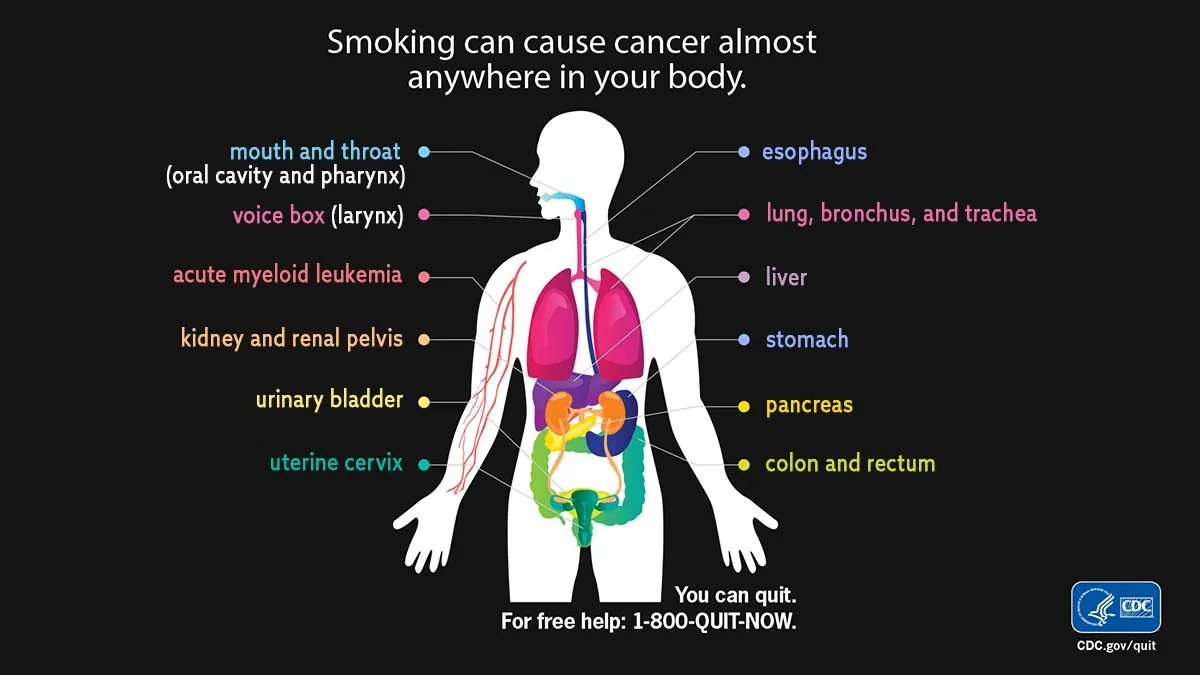 Effects of smoking